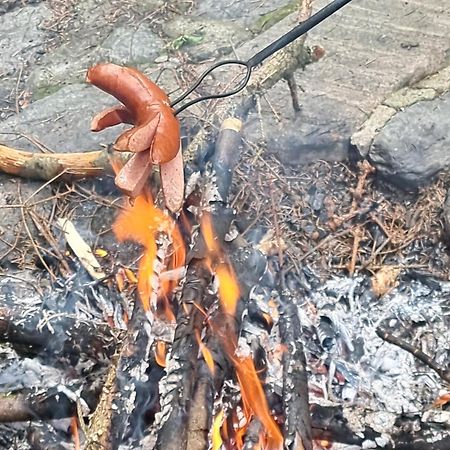 Roubenka Mlyn U Skaly Destne V Orlickych Horach Volne Terminy 5 Bytu Esterno foto