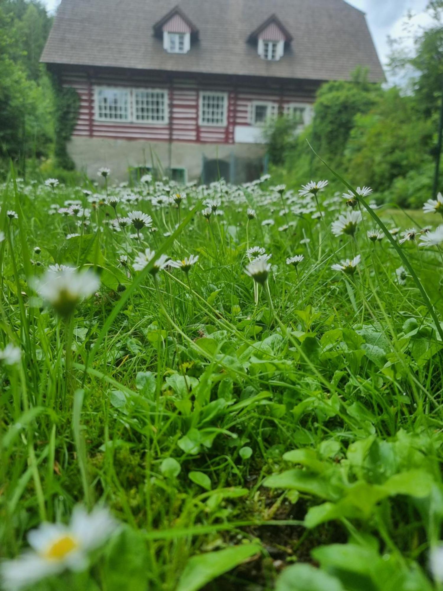 Roubenka Mlyn U Skaly Destne V Orlickych Horach Volne Terminy 5 Bytu Esterno foto