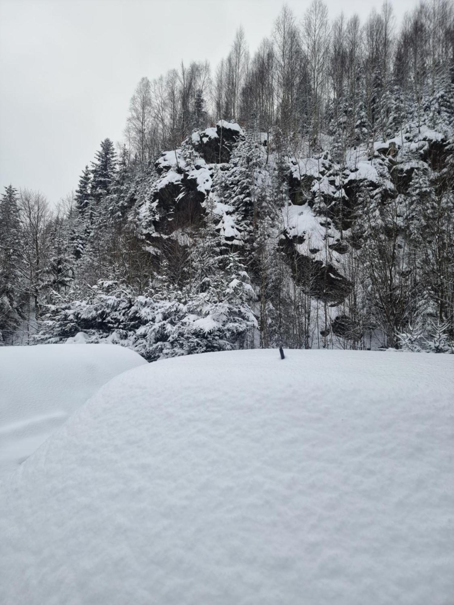 Roubenka Mlyn U Skaly Destne V Orlickych Horach Volne Terminy 5 Bytu Esterno foto