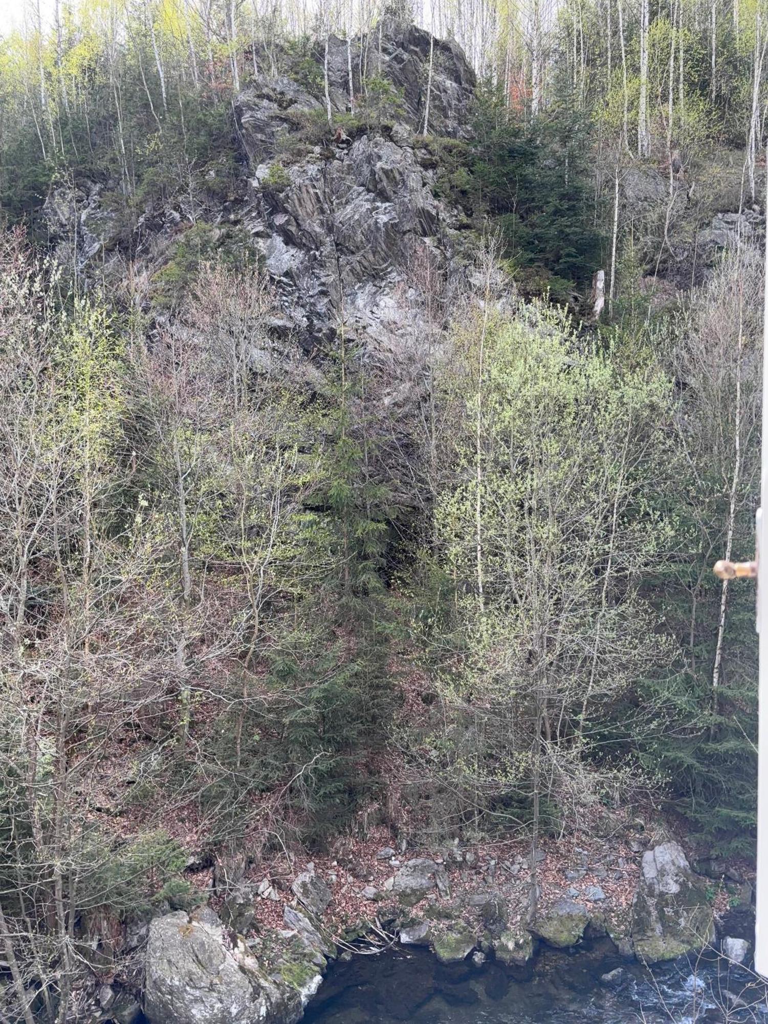 Roubenka Mlyn U Skaly Destne V Orlickych Horach Volne Terminy 5 Bytu Esterno foto