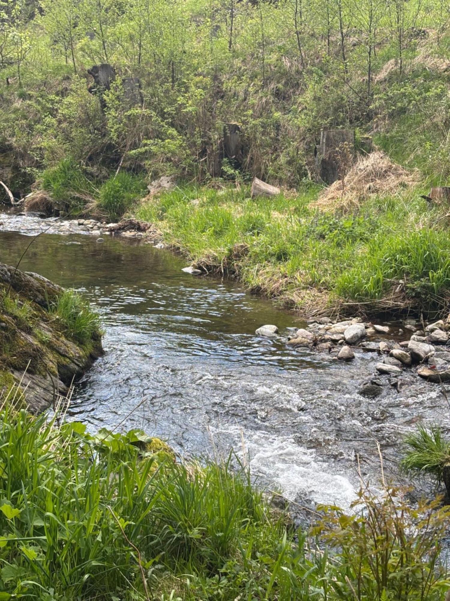 Roubenka Mlyn U Skaly Destne V Orlickych Horach Volne Terminy 5 Bytu Esterno foto
